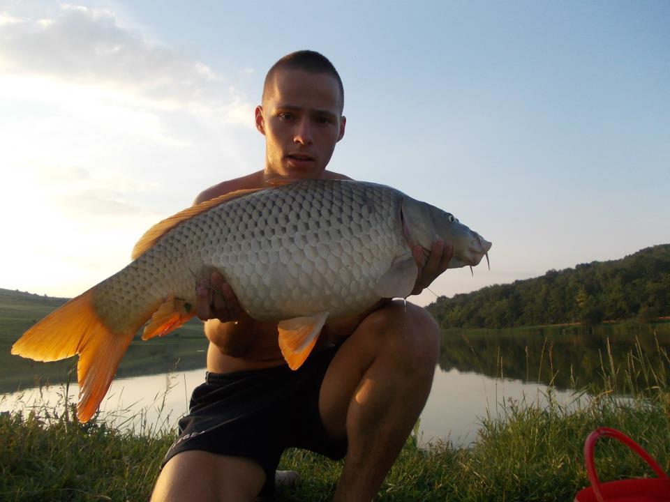 CONCURS LIKE-URI  - VOT PE FACEBOOK  - Popa Horatiu